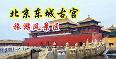 女生爆操鸡巴网站中国北京-东城古宫旅游风景区